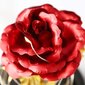 Amžina rožė stikliniame kupole, raudona, 1 vnt. цена и информация | Kitos originalios dovanos | pigu.lt