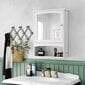 Vonios spintelė su veidrodžiu, Songm Vas, balta kaina ir informacija | Vonios spintelės | pigu.lt