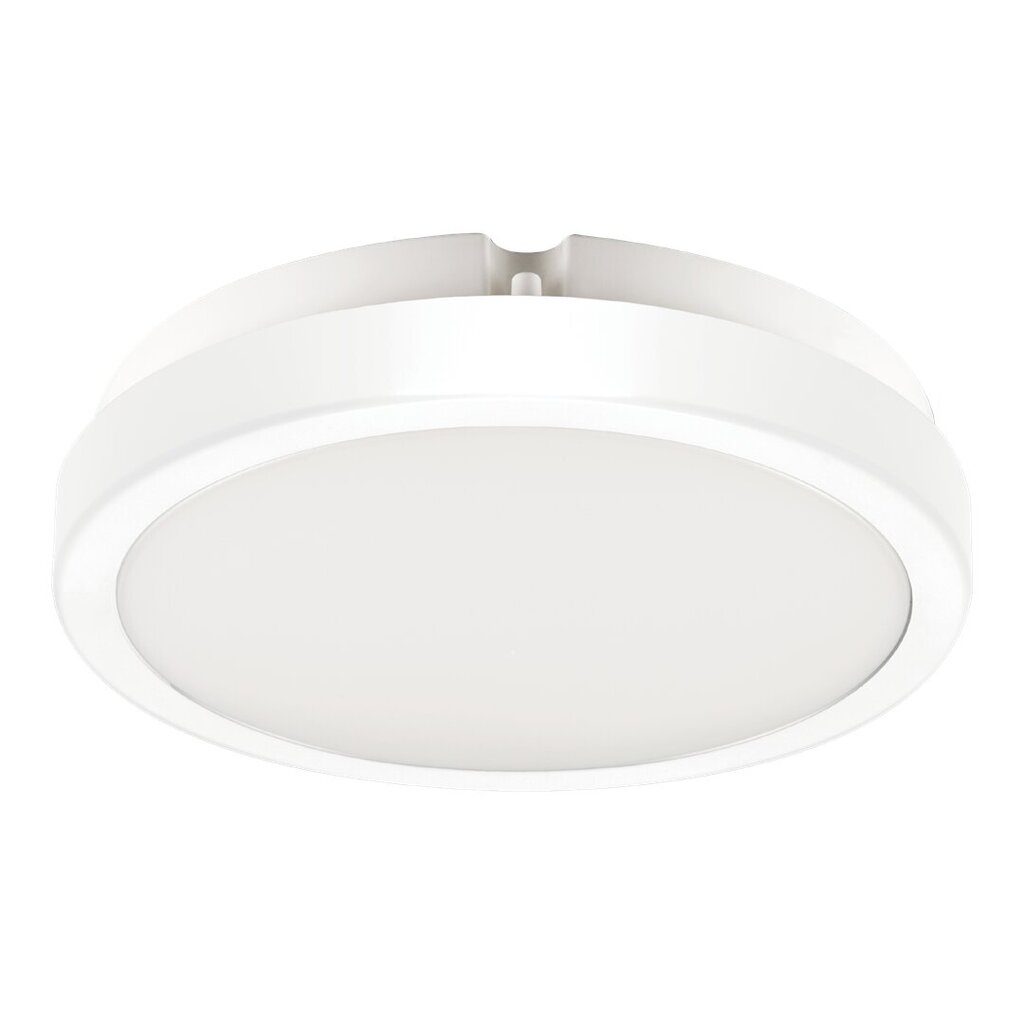 Eko-Light lubinis šviestuvas Vera EKP0468 kaina ir informacija | Lubiniai šviestuvai | pigu.lt