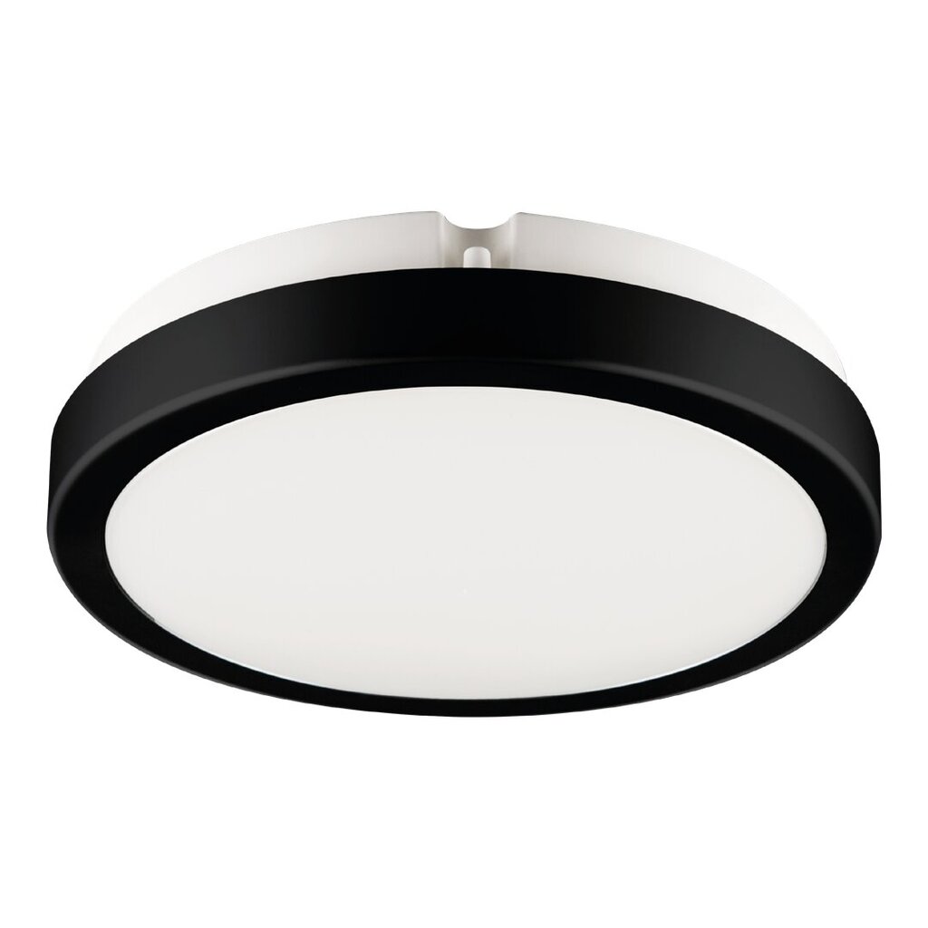 Eko-Light lubinis šviestuvas Vera EKP0469 kaina ir informacija | Lubiniai šviestuvai | pigu.lt