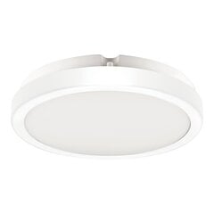 Eko-Light lubinis šviestuvas Vera EKP0470 kaina ir informacija | Lubiniai šviestuvai | pigu.lt