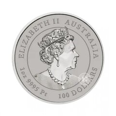Platininė moneta Lunar III - Tigro metai, Australija, 2022 kaina ir informacija | Numizmatika | pigu.lt