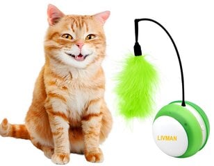 Умная интерактивная самовращающаяся игрушка для кошек LIVMAN Н-42 цена и информация | Игрушки для кошек | pigu.lt
