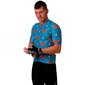 Sportiniai marškinėliai vyrams Hoopoe MAFB002, mėlyni цена и информация | Sportinė apranga vyrams | pigu.lt