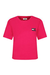 Marškinėliai moterims Tommy Hilfiger DW0DW06813 XIF, raudoni kaina ir informacija | Marškinėliai moterims | pigu.lt