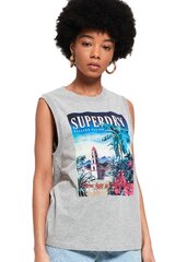 Marškinėliai moterims Superdry G60805YU, pilki цена и информация | Женские футболки | pigu.lt