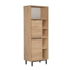 Многоцелевой шкаф, Асир, 160х45,1х35,5 см, коричневый цена и информация | Шкафчики в гостиную | pigu.lt