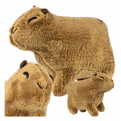 Pliušinė kapibara Aig, 18 cm цена и информация | Мягкие игрушки | pigu.lt