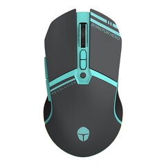 Thunderobot Dual-Modes Gaming mouse ML703 (black) цена и информация | Мыши | pigu.lt