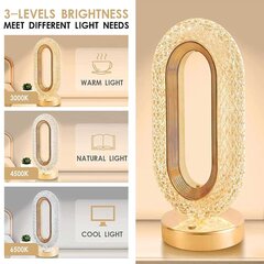 Декоративная LED настольная лампа Table Lamp цена и информация | Настольные светильники | pigu.lt