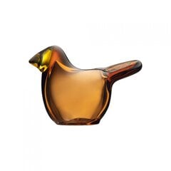 Prekė su pažeidimu. Iittala stiklinė paukščio figūrėlė Birds by Toikka, 12.3x10x9.1 cm kaina ir informacija | Prekės su pažeidimu | pigu.lt