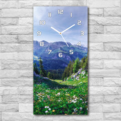 Sieninis laikrodis Alpės kaina ir informacija | Laikrodžiai | pigu.lt