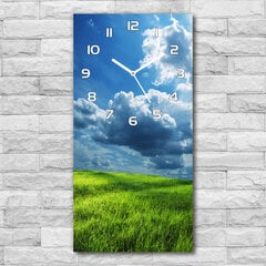 Sieninis laikrodis Debesys virš lauko kaina ir informacija | Laikrodžiai | pigu.lt