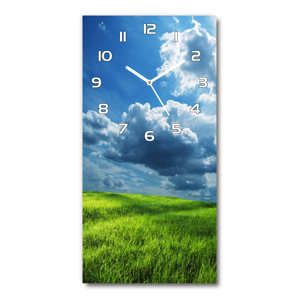 Sieninis laikrodis Debesys virš lauko цена и информация | Laikrodžiai | pigu.lt