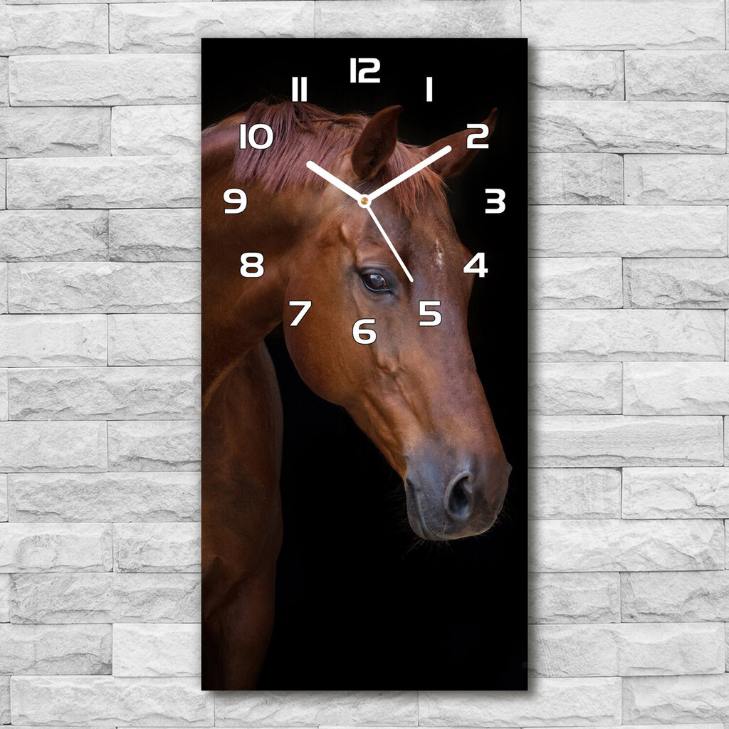 Sieninis laikrodis Rudas arklys kaina ir informacija | Laikrodžiai | pigu.lt