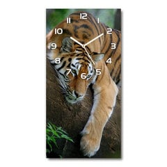 Sieninis laikrodis Tigras ant medžio kaina ir informacija | Laikrodžiai | pigu.lt