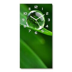 Sieninis laikrodis Žolių ašmenys kaina ir informacija | Laikrodžiai | pigu.lt