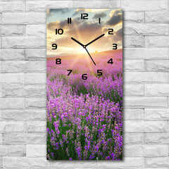 Sieninis laikrodis Levandų laukas kaina ir informacija | Laikrodžiai | pigu.lt