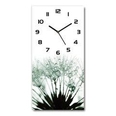 Sieninis laikrodis Kiaulpienės sėklos kaina ir informacija | Laikrodžiai | pigu.lt