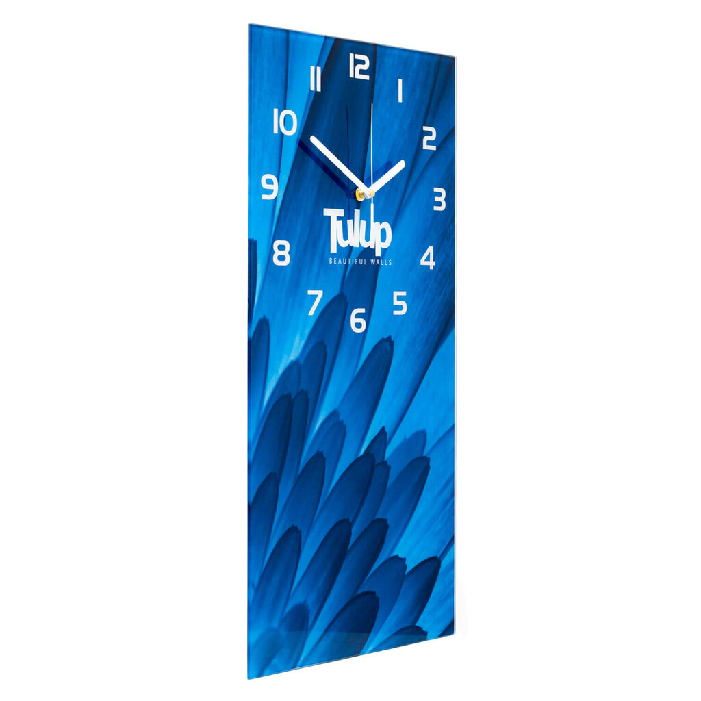 Sieninis laikrodis Uogos ir ledai kaina ir informacija | Laikrodžiai | pigu.lt