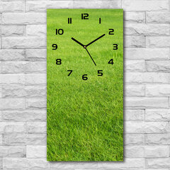 Sieninis laikrodis Žalia žolė kaina ir informacija | Laikrodžiai | pigu.lt
