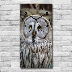 Sieninis laikrodis Pelėda kaina ir informacija | Laikrodžiai | pigu.lt
