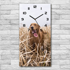 Sieninis laikrodis Auksaspalvis retriveris kaina ir informacija | Laikrodžiai | pigu.lt