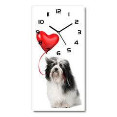 Sieninis laikrodis Havanese su balionu цена и информация | Часы | pigu.lt
