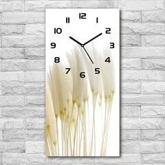 Sieninis laikrodis Kiaulpienės sėklos kaina ir informacija | Laikrodžiai | pigu.lt