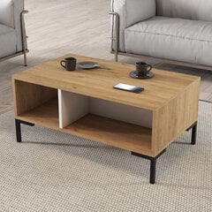 Kavos staliukas Asir, 90x54x41,6 cm, rudas/baltas kaina ir informacija | Kavos staliukai | pigu.lt