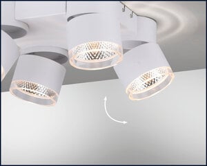 Paul Neuhaus lubinis šviestuvas Pure-Nola цена и информация | Потолочные светильники | pigu.lt