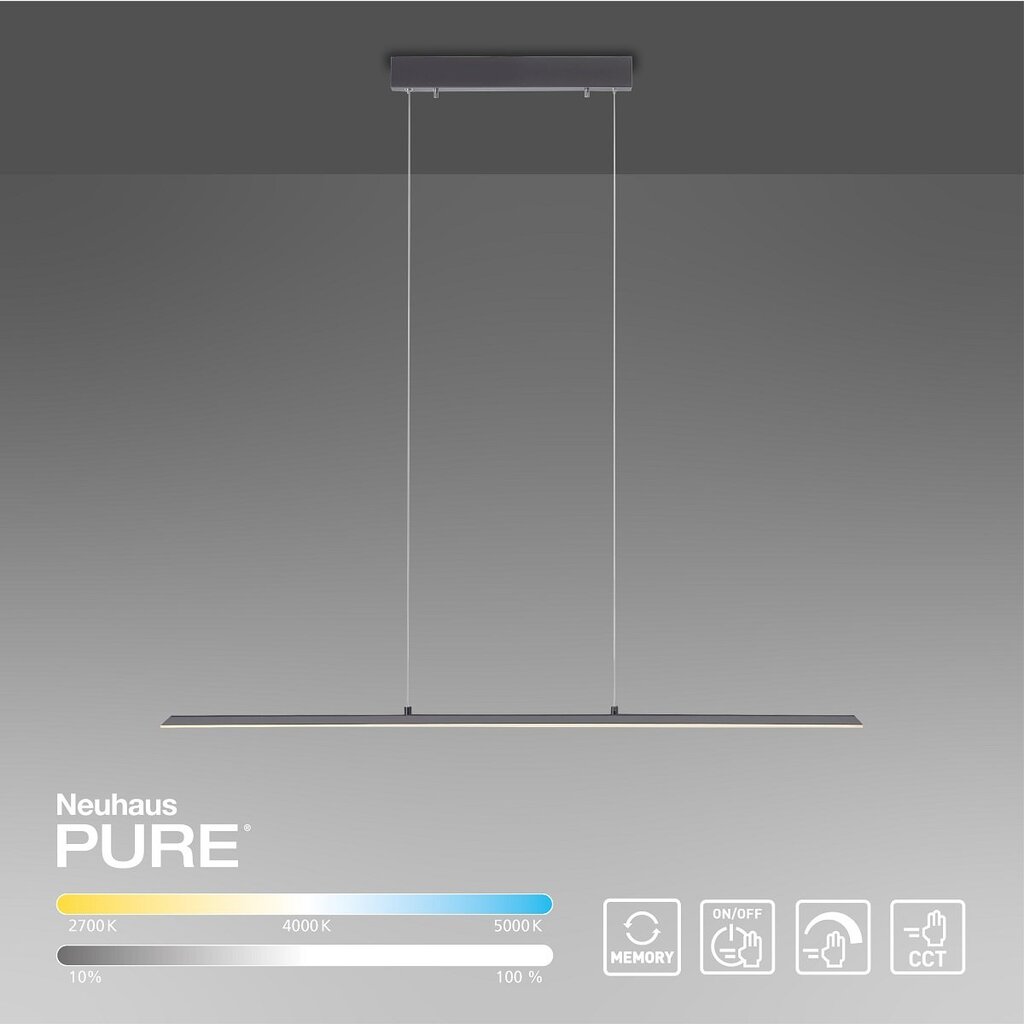 Paul Neuhaus pakabinamas šviestuvas Pure-Lite kaina ir informacija | Pakabinami šviestuvai | pigu.lt