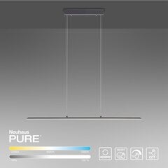 Paul Neuhaus pakabinamas šviestuvas Pure-Lite цена и информация | Люстры | pigu.lt