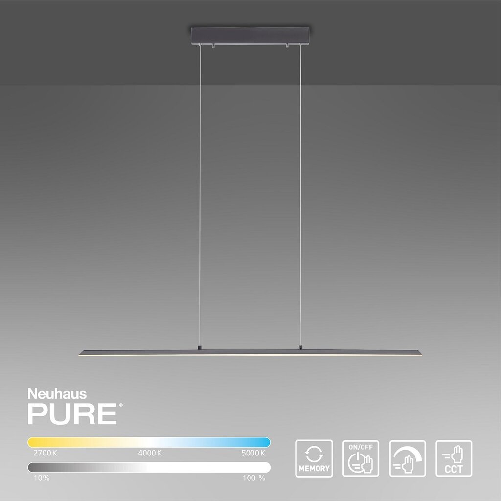 Paul Neuhaus pakabinamas šviestuvas Pure-Lite цена и информация | Pakabinami šviestuvai | pigu.lt