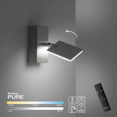 Paul Neuhaus sieninis šviestuvas Pure-Mira цена и информация | Настенные светильники | pigu.lt