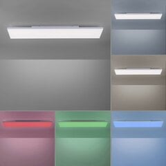 Paul Neuhaus lubinis šviestuvas Q-Frameles цена и информация | Потолочные светильники | pigu.lt