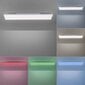 Paul Neuhaus lubinis šviestuvas Q-Frameles kaina ir informacija | Lubiniai šviestuvai | pigu.lt