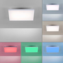 Paul Neuhaus lubinis šviestuvas Q-Frameles kaina ir informacija | Lubiniai šviestuvai | pigu.lt