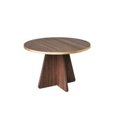 Kavos staliukas Asir, 60x40x60 cm, auksinis/rudas kaina ir informacija | Kavos staliukai | pigu.lt