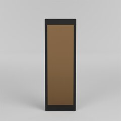 Veidrodis Asir, 34x105 cm, auksinis/juodas kaina ir informacija | Veidrodžiai | pigu.lt