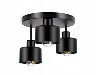 Luxolar lubinis šviestuvas Black kaina ir informacija | Lubiniai šviestuvai | pigu.lt