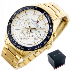 Laikrodis vyrams Tommy Hilfiger 1791121 цена и информация | Мужские часы | pigu.lt