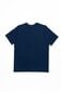 Champion marškinėliai berniukams, mėlyni цена и информация | Vyriški marškinėliai | pigu.lt