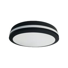 Потолочный светильник Eko-Light Marlon EKP0474 цена и информация | Потолочные светильники | pigu.lt