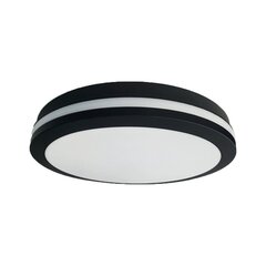 Потолочный светильник Eko-Light Marlon EKP0475 цена и информация | Потолочные светильники | pigu.lt