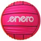 Tinklinio kamuolys Enero, 5 dydis, rožinis цена и информация | Tinklinio kamuoliai | pigu.lt
