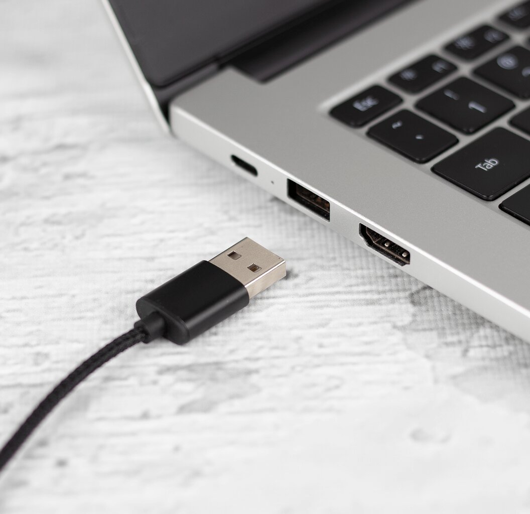 Reagle USB garso plokštė MINI JACK DAC 24 bitų 96 KHz цена и информация | Garso plokštės | pigu.lt