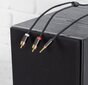 REAGLE KABELIS MINI JACK 2x RCA CHINCH STEREO GOLD HQ 1M kaina ir informacija | Korpusų priedai | pigu.lt