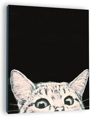 Картина по номерам Winder Arts "Любопытный кот,  на темном фоне ", 40х50см цена и информация | Живопись по номерам | pigu.lt