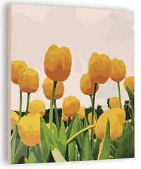Картина по номерам "Тюльпаны", 40х50см цена и информация | Набор для рисования по номерам | pigu.lt